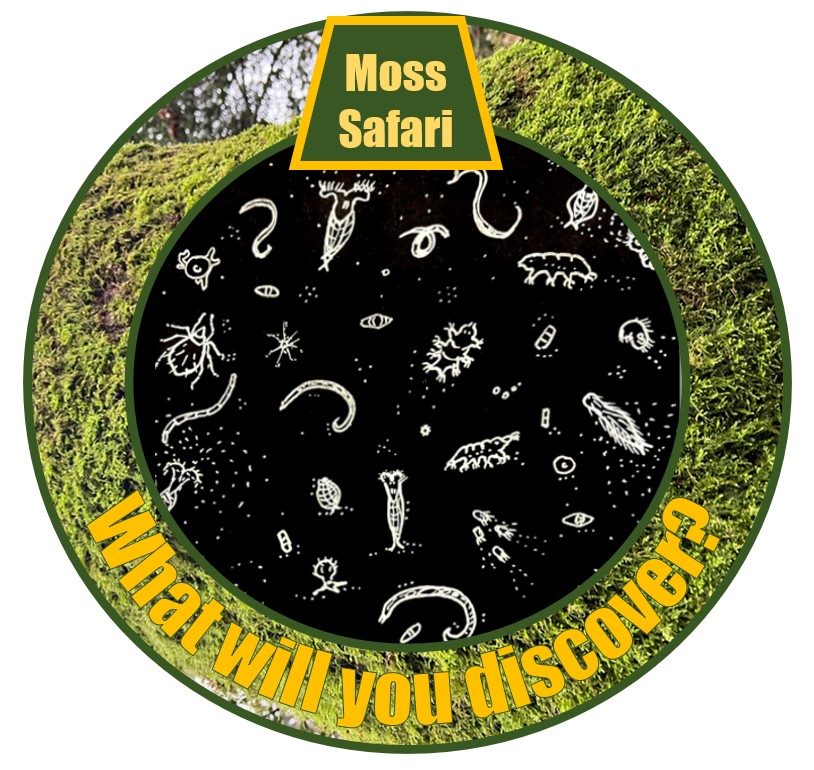 British Science Week 2023: Why do a Moss Safari?