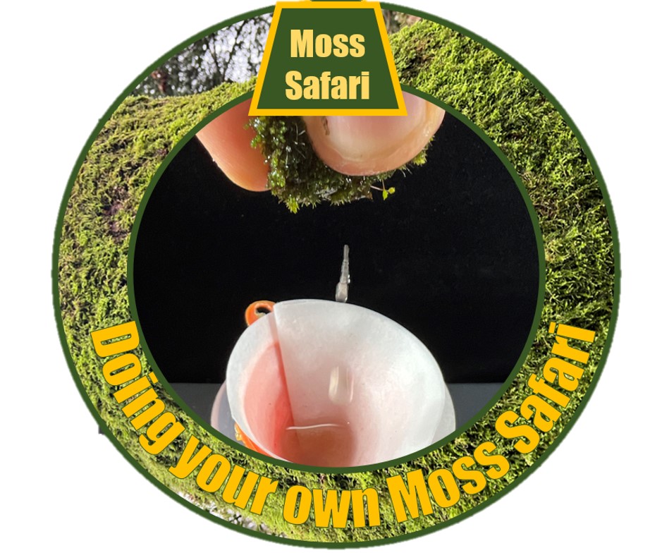 How to do a Moss Safari