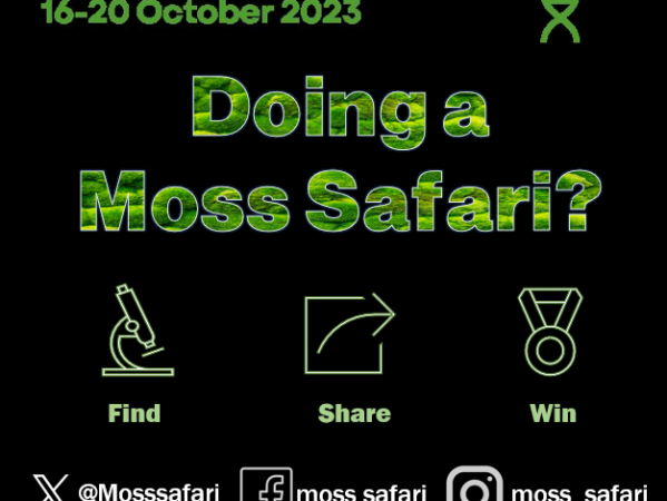 Biology Week 2023: Are you doing a Moss Safari?
