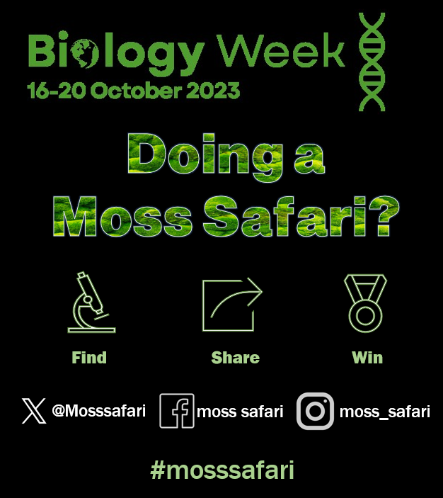 Biology Week 2023: Are you doing a Moss Safari?