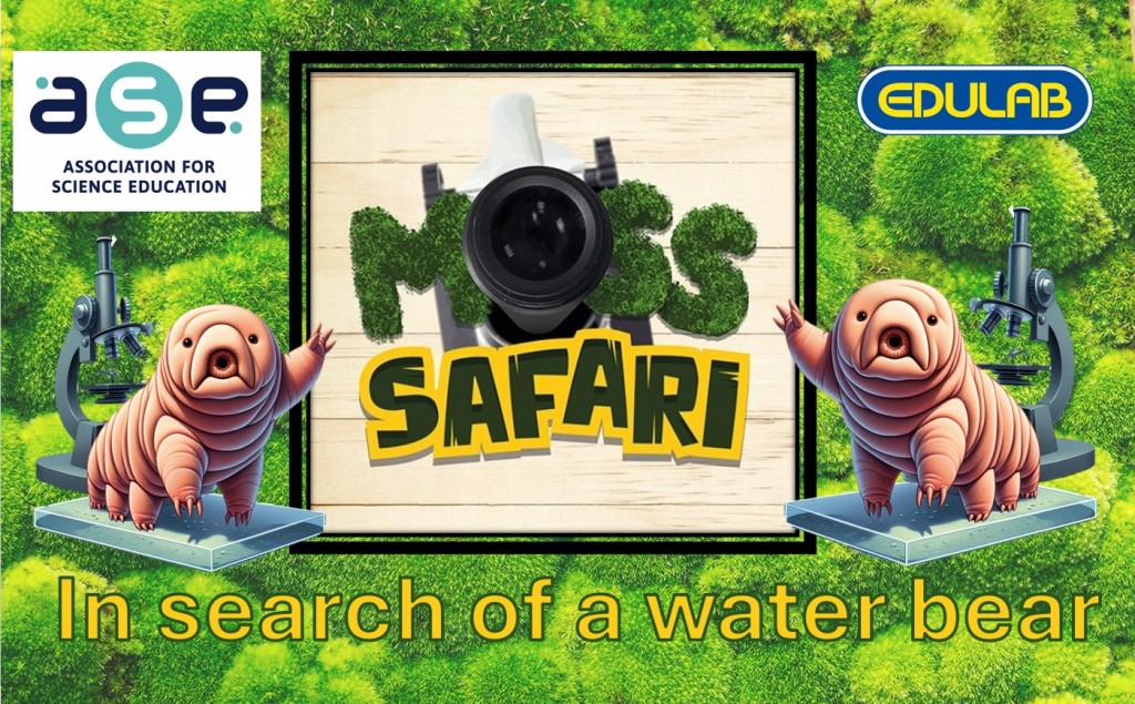 ASE Primary Live Moss Safari: Search for a water bear.