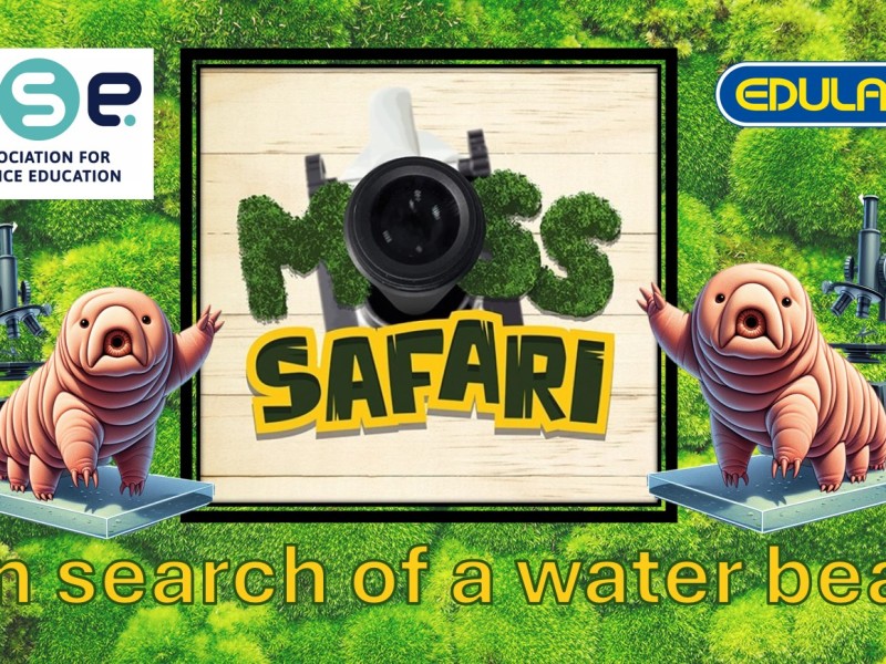 ASE Primary Live Moss Safari: Search for a water bear.